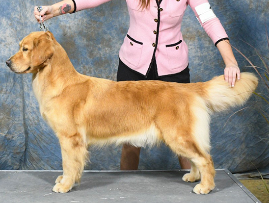 Prism's Caribbean Girl Power JH WC CCA-Bowen