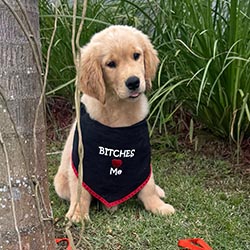 Questan’s Caribbean A Peony For Your Thoughts, Freud