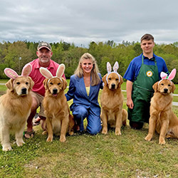 Questan’s Caribbean A Peony For Your Thoughts, Freud
